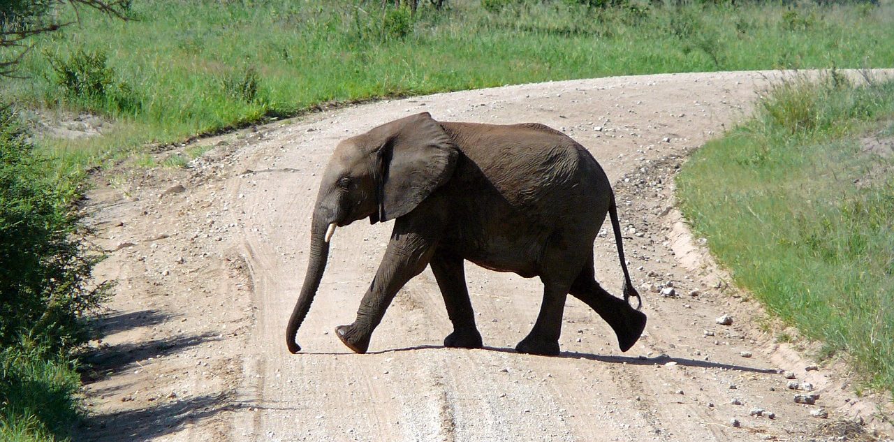 Safaritour Tanzania